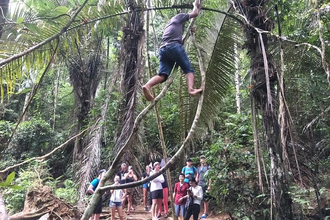 Small-Group Jungle Hiking Excursion in Khao Phra Teaw Park - The Swim Breaks: Natural Pools, Waterfalls, and What to Bring