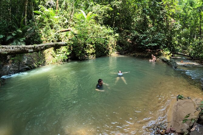 Small-Group Jungle Hiking Excursion in Khao Phra Teaw Park - Thai Lunch at the End: Local Food, Not Just Fuel