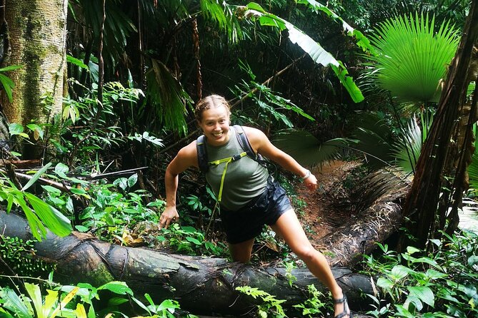 Small-Group Jungle Hiking Excursion in Khao Phra Teaw Park - Price and Value: How $78.23 Adds Up for a Real Rainforest Day