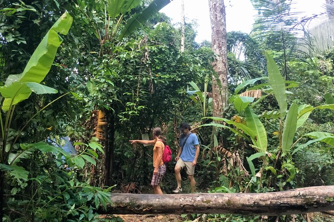 Small-Group Jungle Hiking Excursion in Khao Phra Teaw Park - Bang Pae Waterfall: The Cool-Down Moment That Keeps You Going