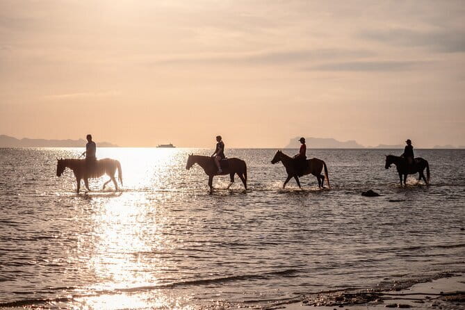 Sunset Beach Horseback Ride Phuket - Through the Gardens: How the Ride Starts Calm