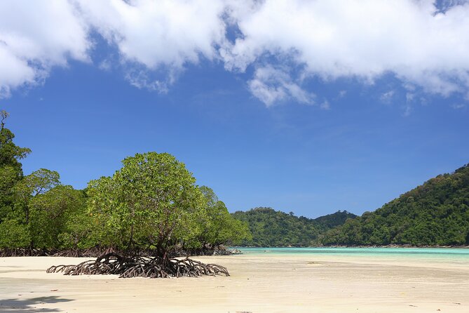 Surin Islands 2 Days 1 Night Trip from Phuket - Price and value: what $256.28 really covers (and what costs extra)