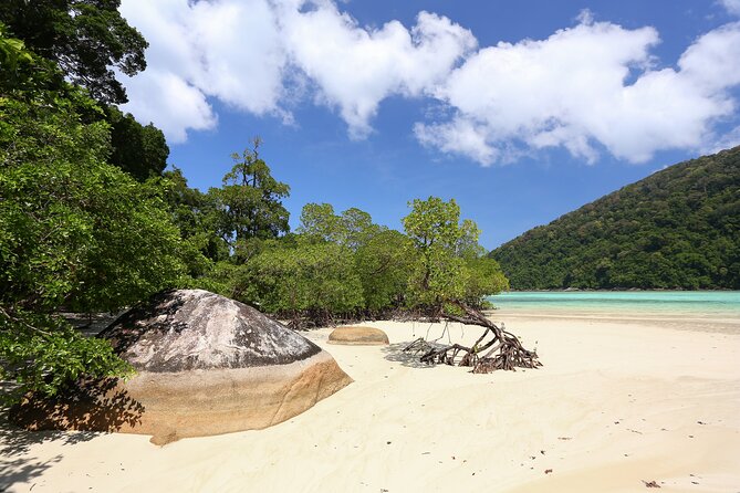 Surin Islands 2 Days 1 Night Trip from Phuket - Safety and staff setup: why the calm feeling matters