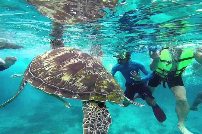 Surin Islands Snorkeling Trip from Phuket - Why the Surin Islands are worth the 6am wake-up