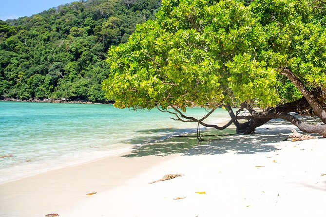 Surin Islands Snorkeling Trip from Phuket - Moken community time: seeing how life works on the water