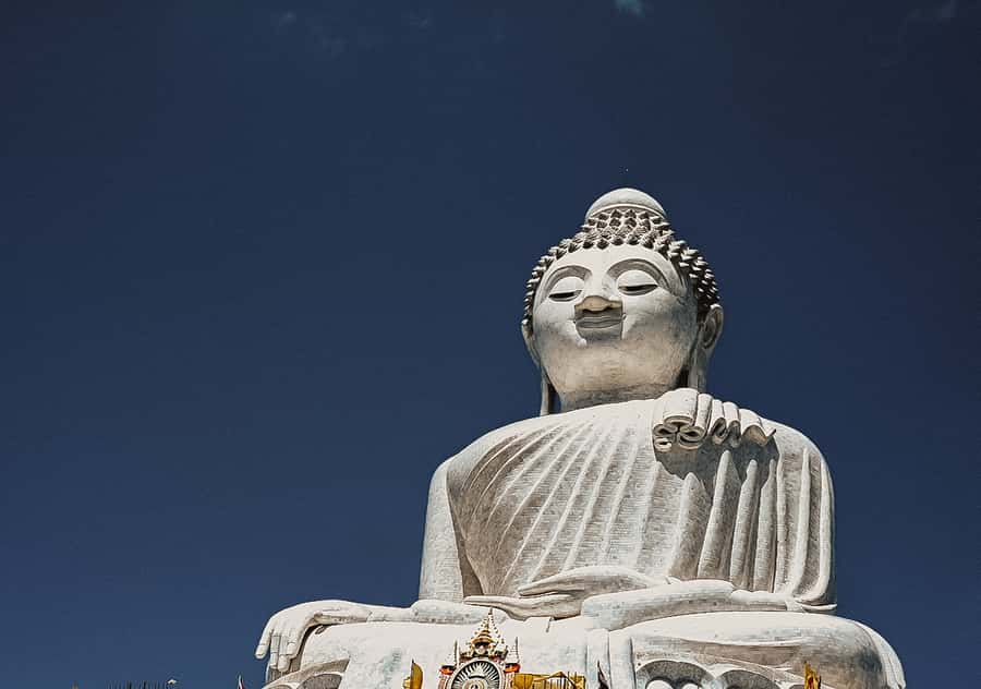 Temple and Jungle Trekking tour with Lunch at Farm-to-Table - The full day in 5 hours: what you’re really signing up for
