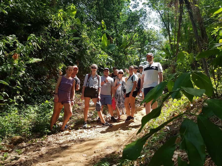 Temple and Jungle Trekking tour with Lunch at Farm-to-Table - Price and value: is $49 actually fair?