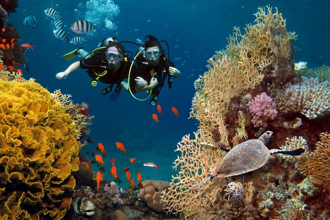 Try Scuba Diving in Racha Yai and Noi for Non-Certified - Key highlights