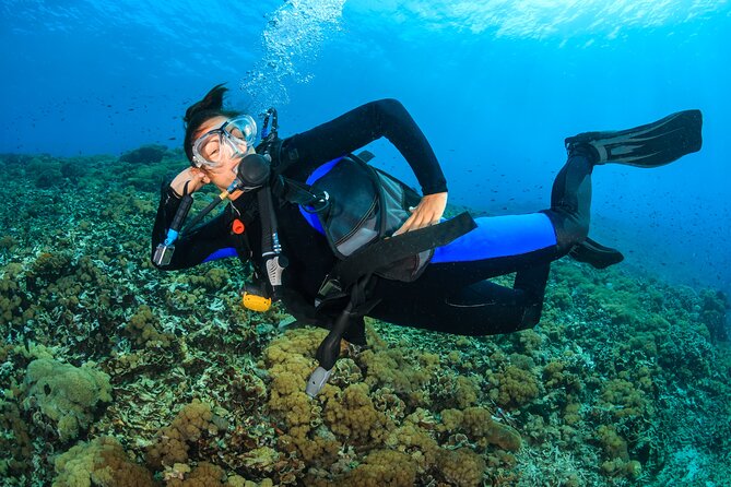 Try Scuba Diving in Racha Yai and Noi for Non-Certified - Koh Racha Yai: Your First Reef Moment