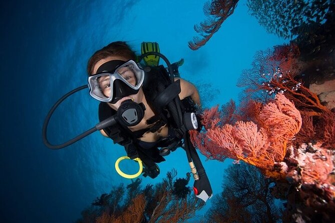 Try Scuba Diving in Racha Yai and Noi for Non-Certified - Food, Drinks, and Staying Comfortable on the Boat