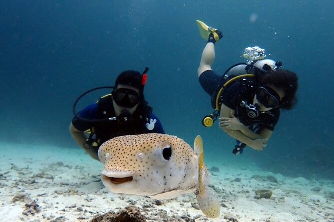 Try Scuba Diving in Racha Yai and Noi for Non-Certified - Safety First: Insurance, Instructor Guidance, and Clear Limits