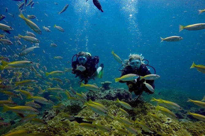 Try Scuba Diving - Transfers, tickets, and the small-group feel
