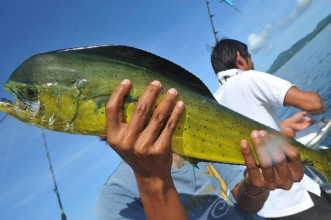 Ultimate Full-Day Big Game Fishing & Trolling Tour - Price and value: what $104.17 buys you (and what could cost extra)