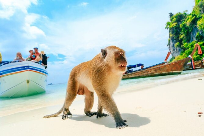 VIP Private Boat to Phi Phi Island: Snorkeling + Land Tour - Camel Rock and Wang Long Beach: the in-between moments that often matter most