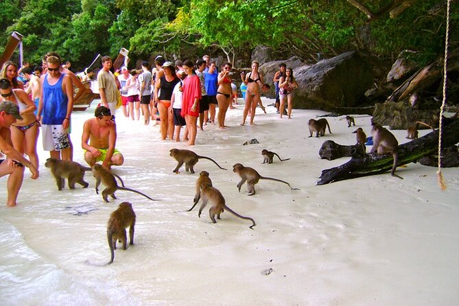 VIP Private Boat to Phi Phi Island: Snorkeling + Land Tour - Ko Phi Phi Don: why lunch here works