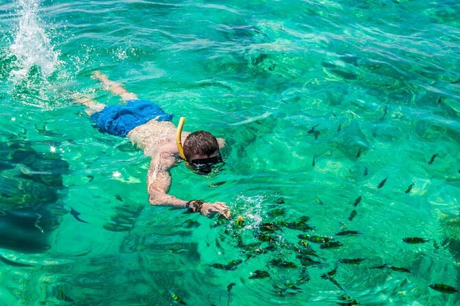 VIP Private Boat to Phi Phi Island: Snorkeling + Land Tour - Snorkeling with turtles: what’s included and how to get the most