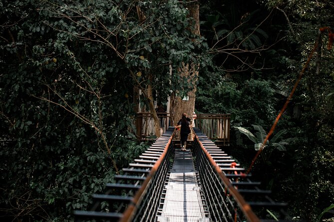 World B+ (Zipline 18 Platforms + Roller + Sky Walk with World Set Menu ) - Zip lines and abseils: longest 400m and drops up to 40m