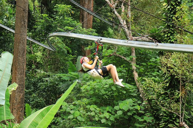 World C+ (Ziplines 10 Platforms + Roller + Sky Walk and World Set Menu ) - Sky Walk Over the Forest Canopy: The Calm Break You’ll Appreciate