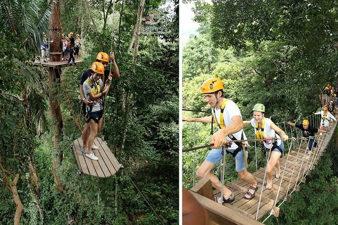 Zipline Experience in Phuket - The Best Part: Treetop Wildlife Spotting and Real Panoramas